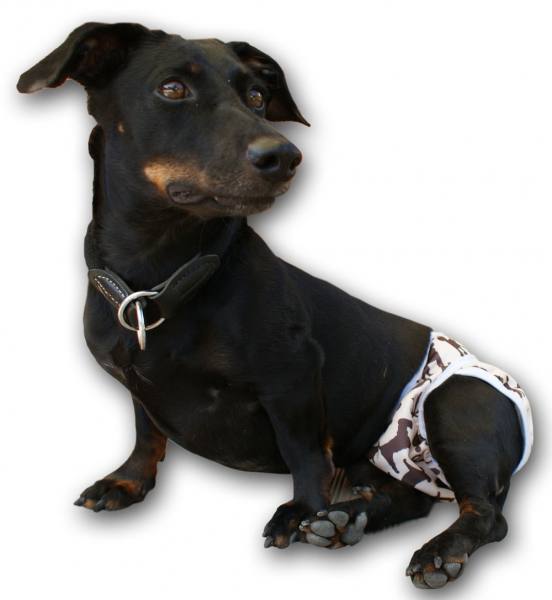 Blümchen dog diaper Size 1 (5-15kg)